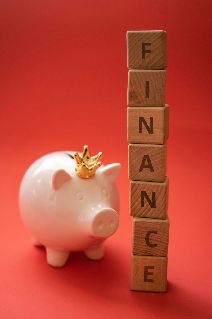 A piggy bank wearing a crown sits beside wooden blocks spelling 'FINANCE' on a red backdrop.